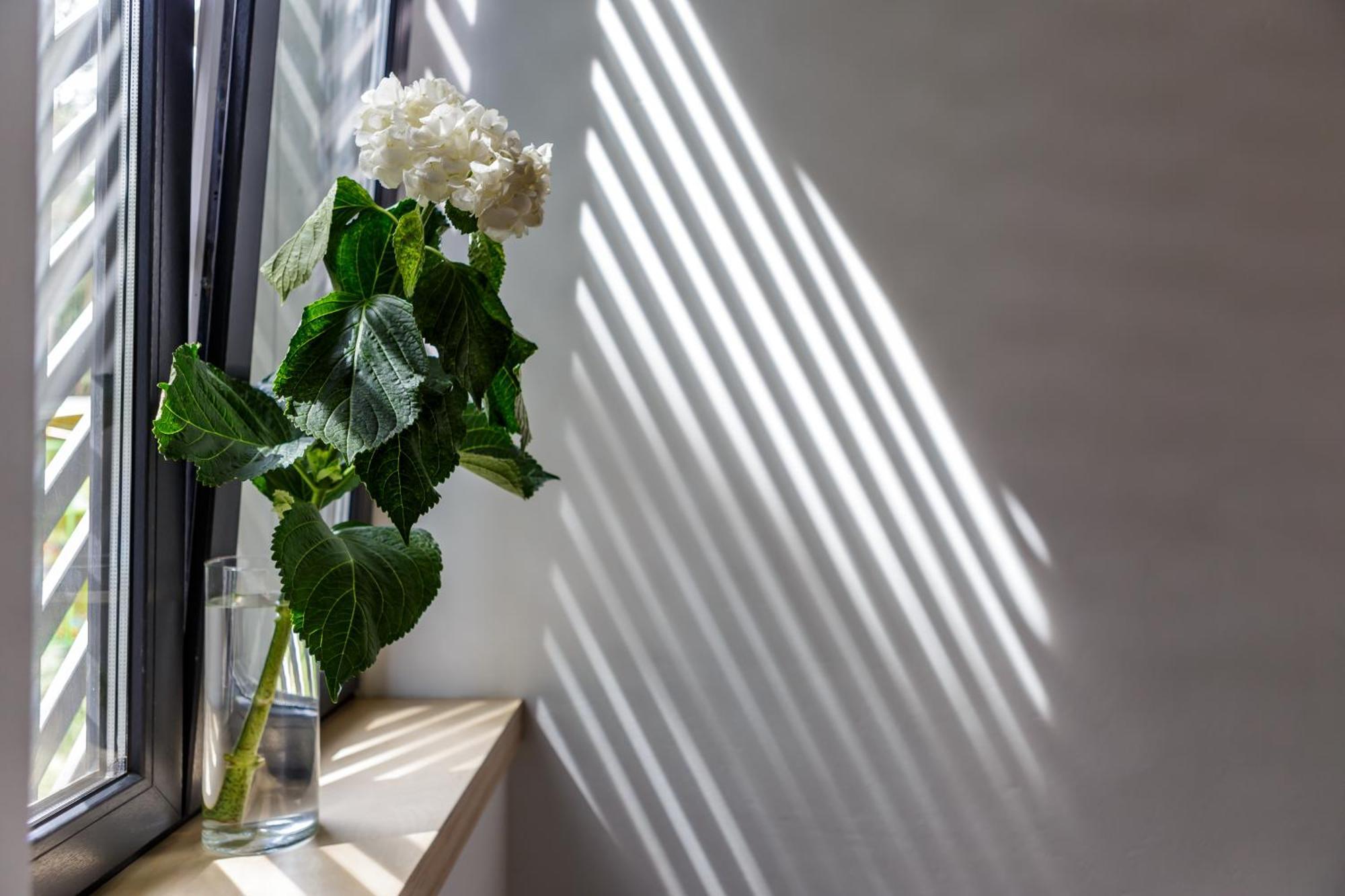 Melt In Palanga Apartment Ngoại thất bức ảnh